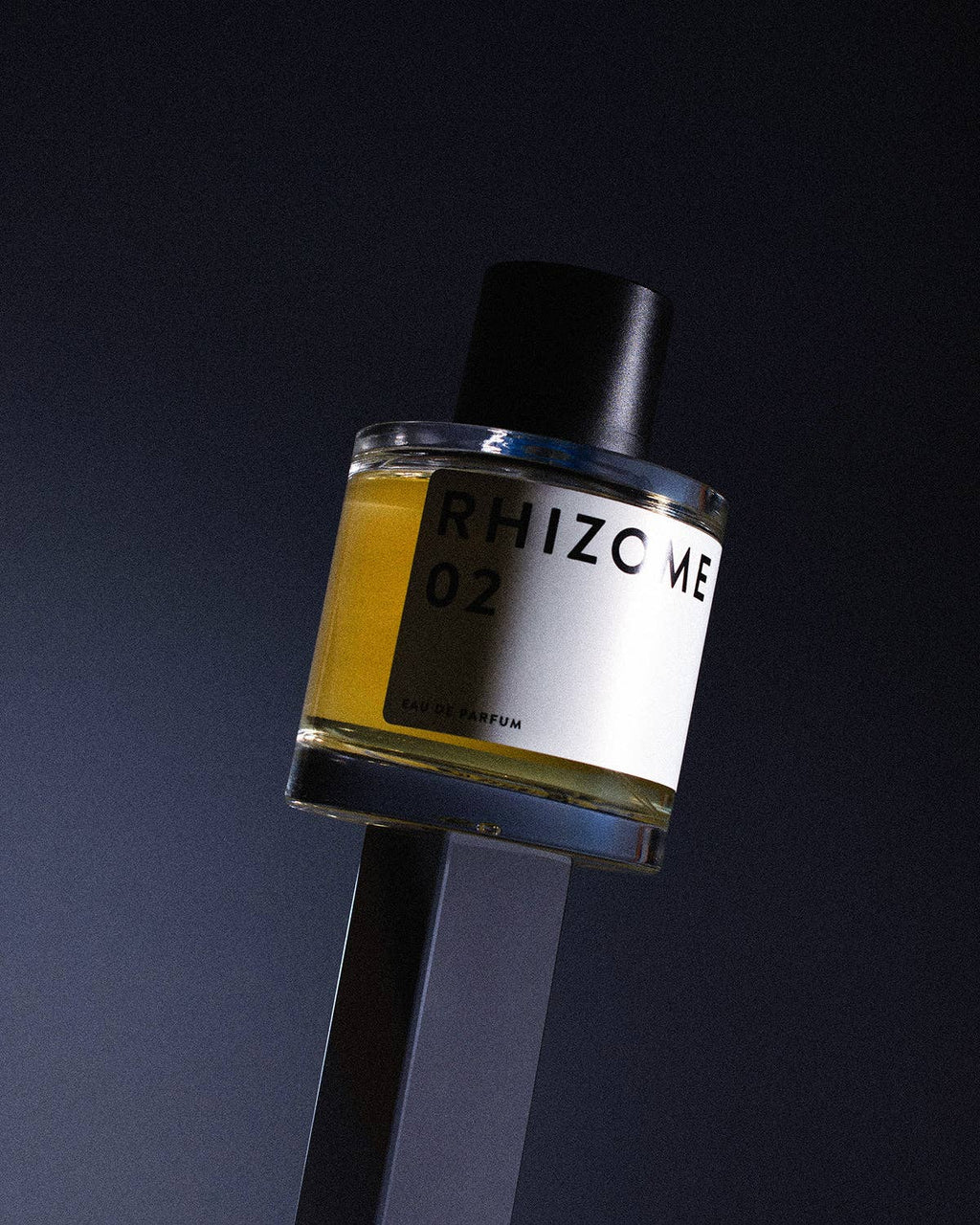 RHIZOME 02 Eau de Parfum
