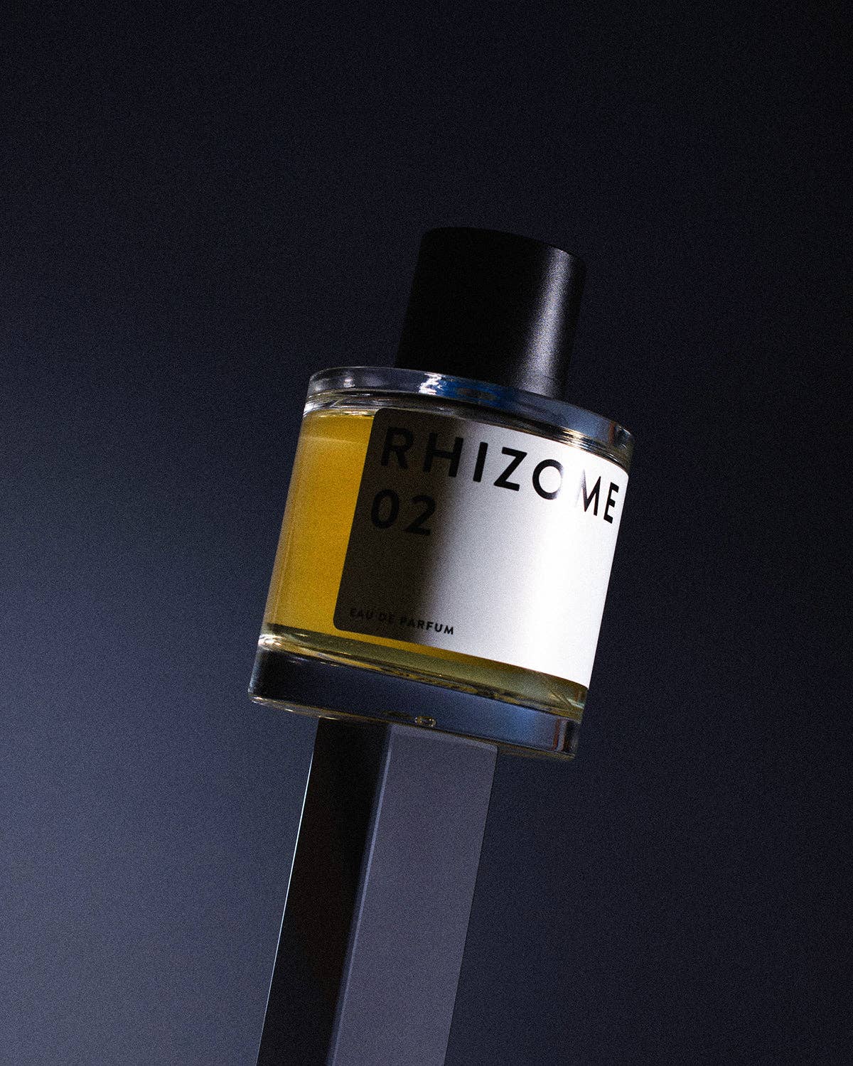RHIZOME 02 Eau de Parfum